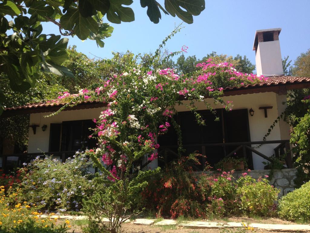 Selimiye Houses מראה חיצוני תמונה