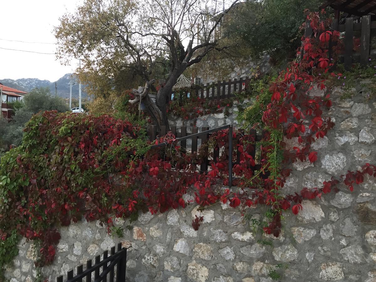 Selimiye Houses מראה חיצוני תמונה